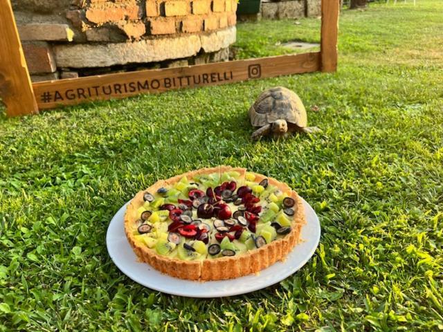 Agriturismo Bitturelli Ponti sul Mincio Exteriér fotografie
