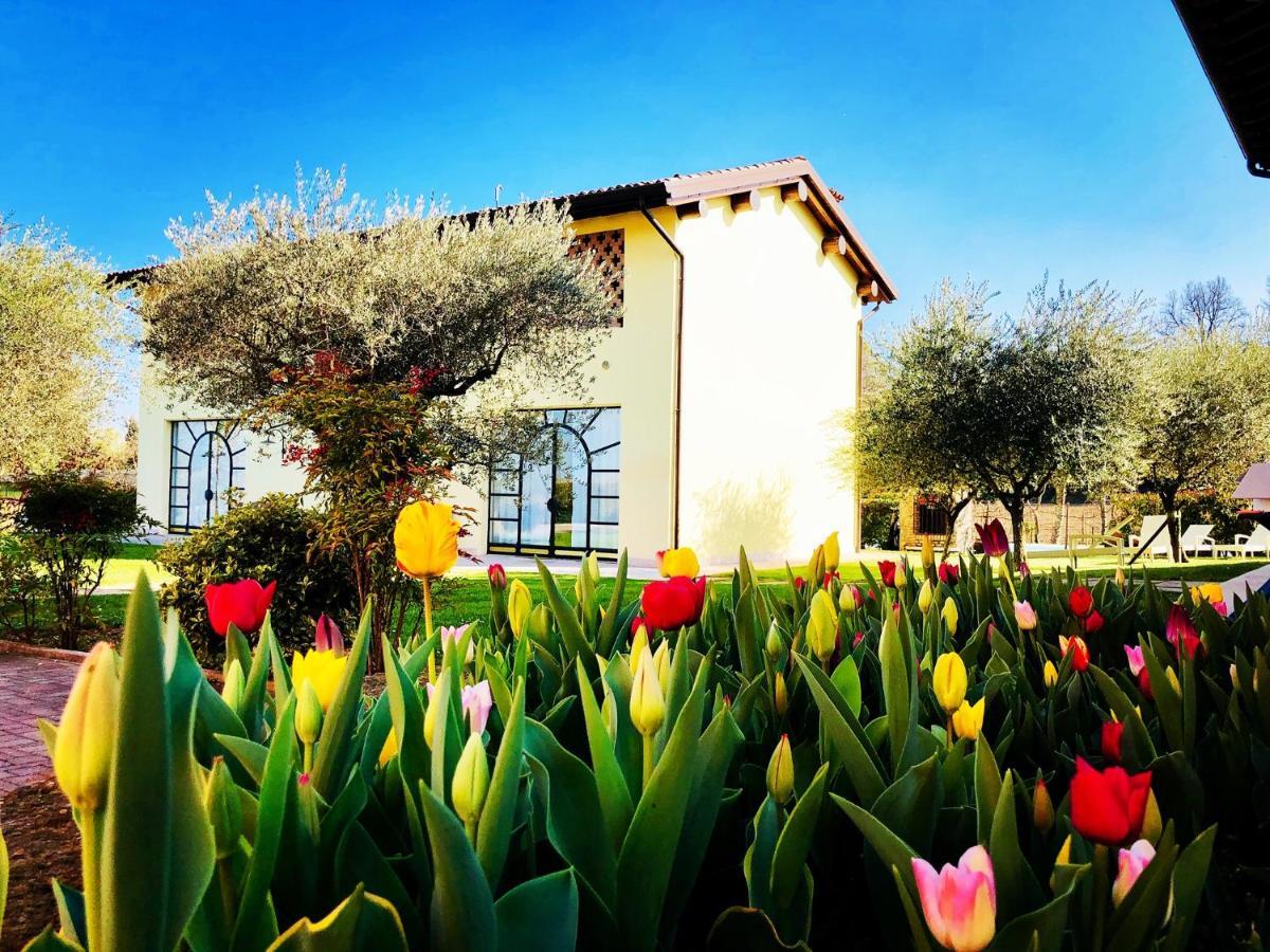 Agriturismo Bitturelli Ponti sul Mincio Exteriér fotografie